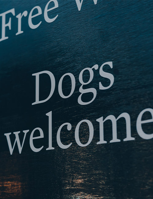 A sign which says 'dogs welcome'.